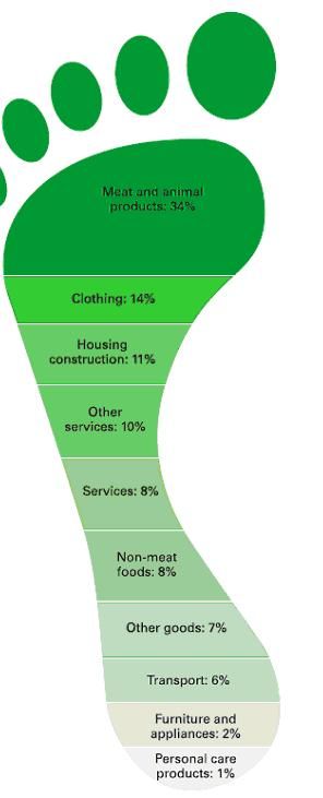 stay-green-riconoscere-casi-di-greenwashing-e-tutelare-l-impronta